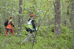 Kaksi henkilöä kävelemässä metsässä.